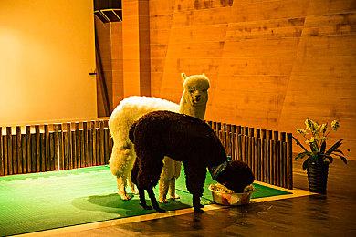 主机销售额占索尼游戏收入24% 数字游戏及订阅等占66%  PC等收入占6%